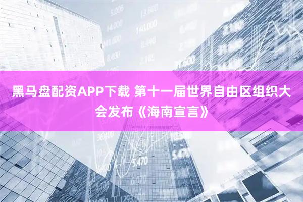 黑马盘配资APP下载 第十一届世界自由区组织大会发布《海南宣言》