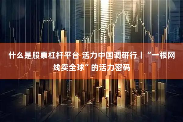 什么是股票杠杆平台 活力中国调研行丨“一根网线卖全球”的活力密码