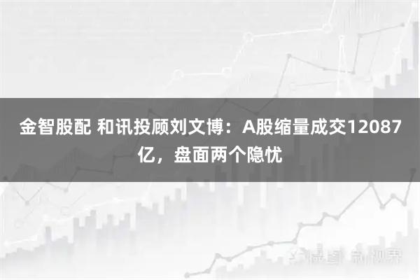 金智股配 和讯投顾刘文博：A股缩量成交12087亿，盘面两个隐忧