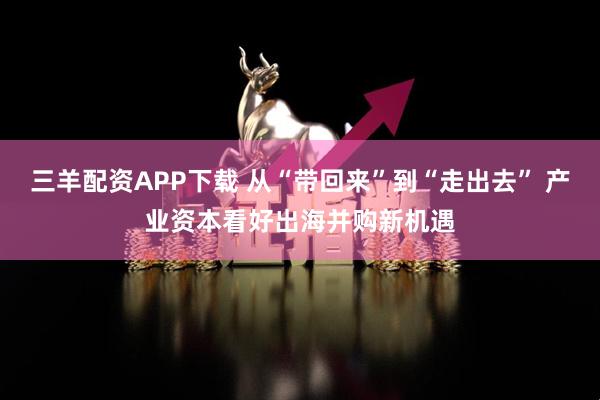 三羊配资APP下载 从“带回来”到“走出去” 产业资本看好出海并购新机遇