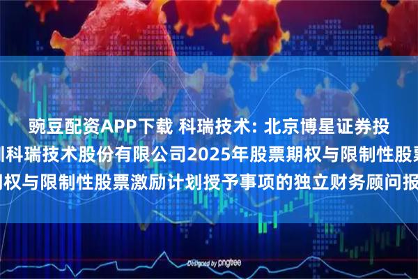 豌豆配资APP下载 科瑞技术: 北京博星证券投资顾问有限公司关于深圳科瑞技术股份有限公司2025年股票期权与限制性股票激励计划授予事项的独立财务顾问报告内容摘要